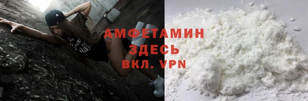 шишки Беломорск