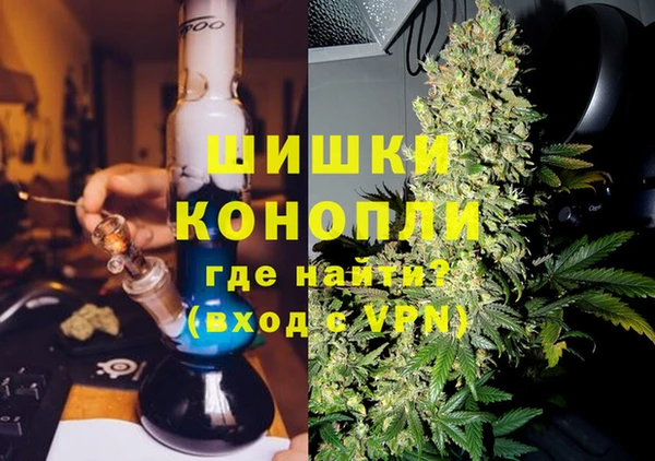 шишки Беломорск