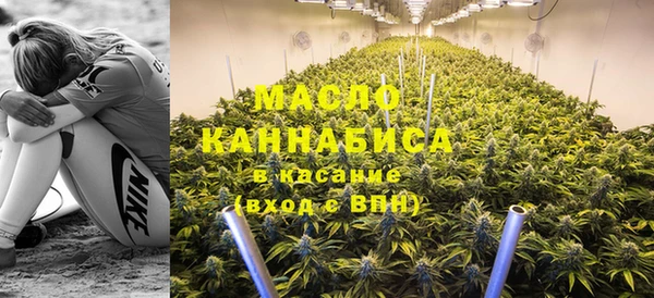 шишки Беломорск
