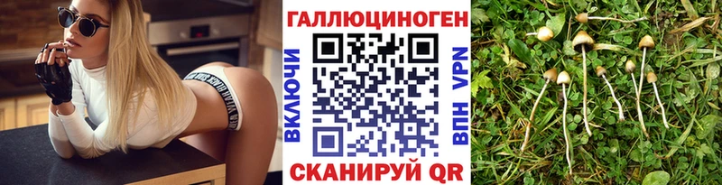 Псилоцибиновые грибы ЛСД  Купить  Михайловка 